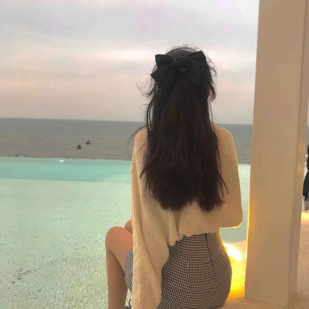红翼行动